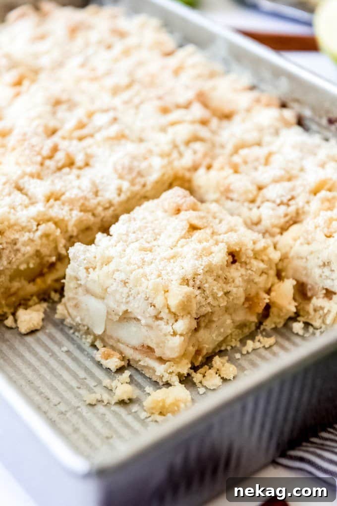 A sliced German apple cake with a delightful streusel topping, still in its baking pan, showing its moist interior.