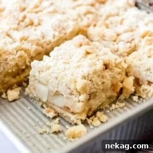 A close-up slice of German apple cake in a pan, highlighting its crumbly streusel and soft apple layers.