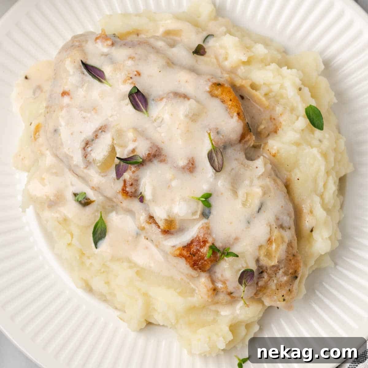 Creamy Mushroom Smothered Pork Chops 11 A single, perfectly cooked pork chop in a rich sauce, served on a plate with a side of creamy mashed potatoes.