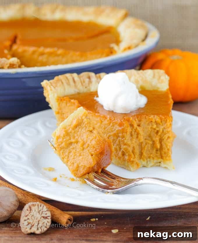 Elevated Pumpkin Pie Classic 6 A beautifully crafted Classic Pumpkin Pie with a Twist, garnished and ready for a festive table setting.
