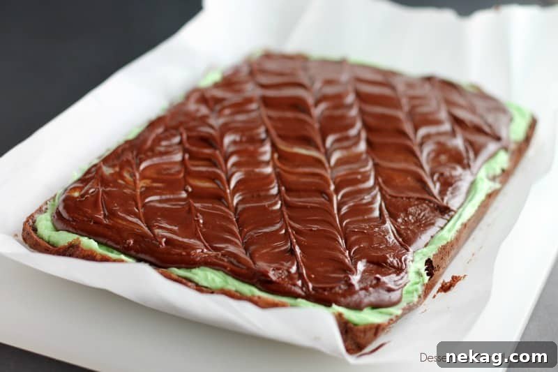 Finished Bakery Swirled Brownies Ready to Serve