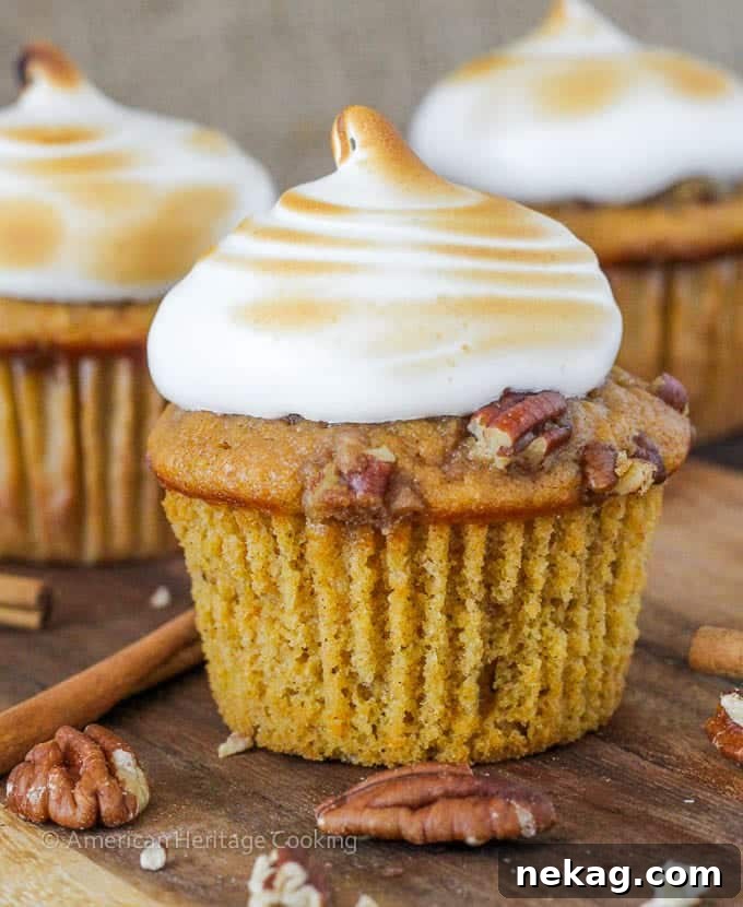 Overhead shot of Sweet Potato Casserole Cupcakes with toasted marshmallow swirls