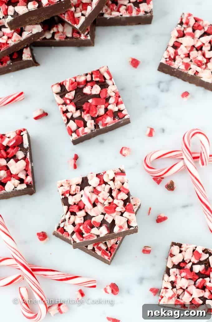 Effortless Rich Dark Chocolate Peppermint Fudge 4 Close-up of smooth Dark Chocolate Peppermint Fudge squares adorned with vibrant Andes peppermint pieces.