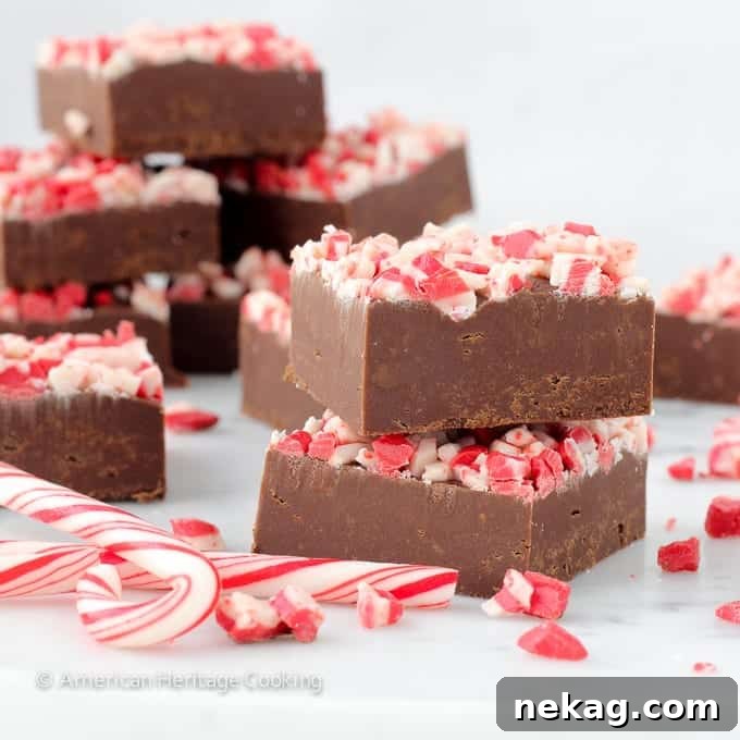 Effortless Rich Dark Chocolate Peppermint Fudge 5 A close-up of a hand holding a square of perfectly cut Dark Chocolate Peppermint Fudge, showcasing its smooth, rich texture and peppermint topping.