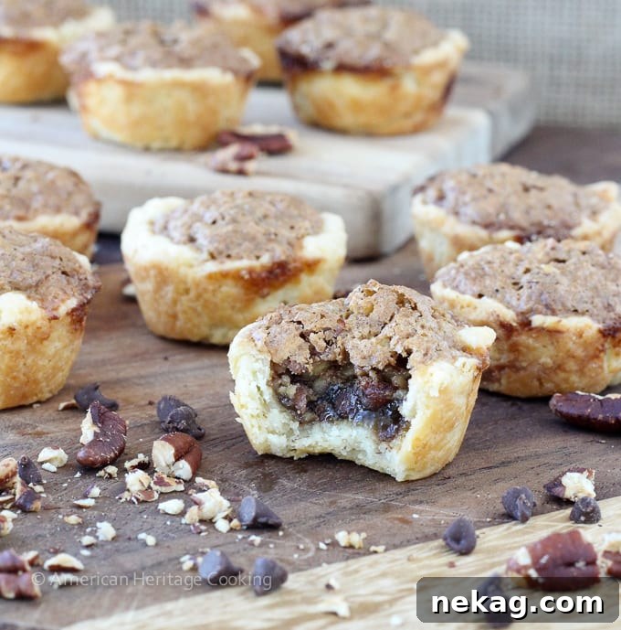 Decadent Chocolate Pecan Bites 2 Delicious Chocolate Pecan Tassies with a flaky cream cheese crust, perfect for any occasion.