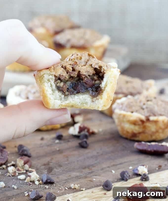 Decadent Chocolate Pecan Bites 5 Individual Chocolate Pecan Tassies presented on a plate, ready to be served.