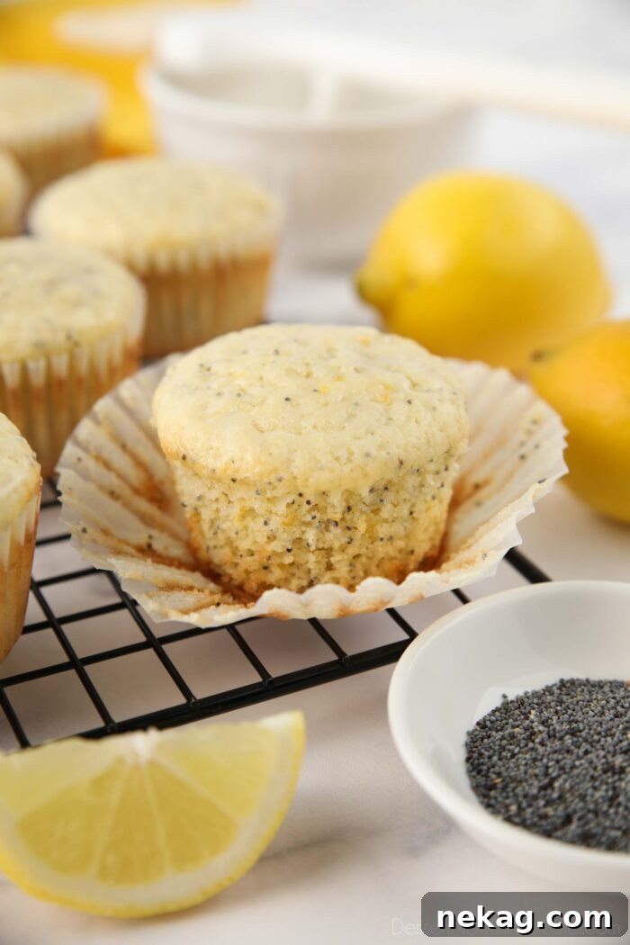 A perfectly baked lemon poppy seed muffin with its paper wrapper slightly pulled down, showcasing its fluffy texture and golden-brown top.
