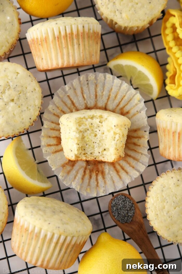 A close-up of a lemon poppy seed muffin with a bite taken out, revealing its moist, fluffy interior and the distribution of poppy seeds.