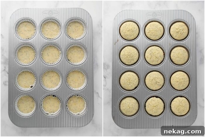 Before and after comparison of lemon poppy seed muffin batter in a baking pan versus baked muffins, showing their rise and golden color.
