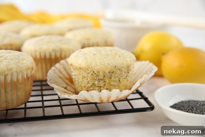 A delightful lemon poppy seed muffin, with its paper wrapper slightly peeled down, showing off its perfect texture and golden top.