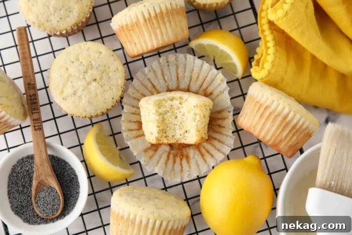 A close-up shot of a lemon poppy seed muffin with a small bite taken, highlighting its moist texture and the golden brown exterior.