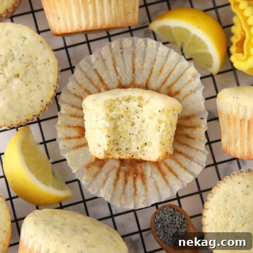 A perfectly baked lemon poppy seed muffin with a bite taken out, showcasing its moist texture.