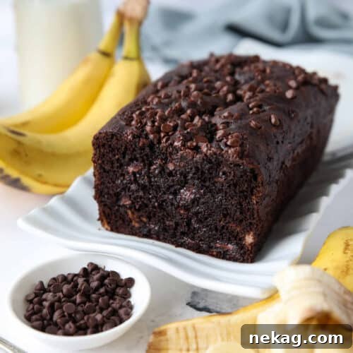 Chocolate banana bread with chocolate chips on a serving plate.