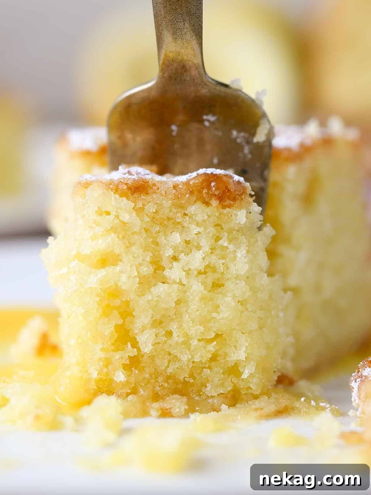 Sun-Kissed Lemon Olive Oil Cake 2 close up of lemon olive oil cake on gold fork.