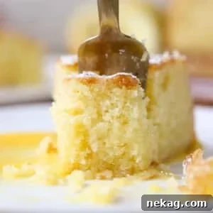 olive oil cake sliced on fork.