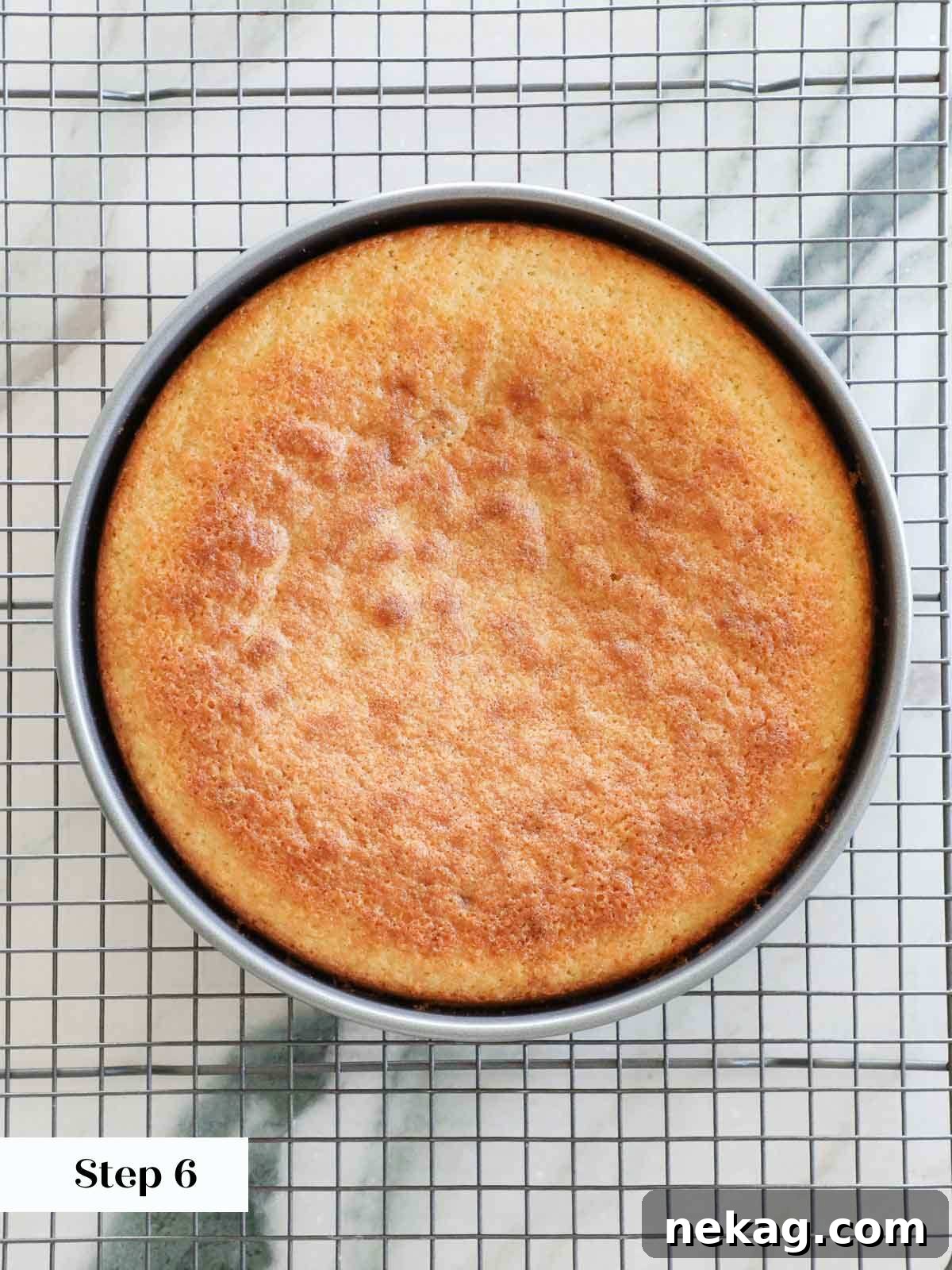 Sun-Kissed Lemon Olive Oil Cake 10 baked olive oil cake.