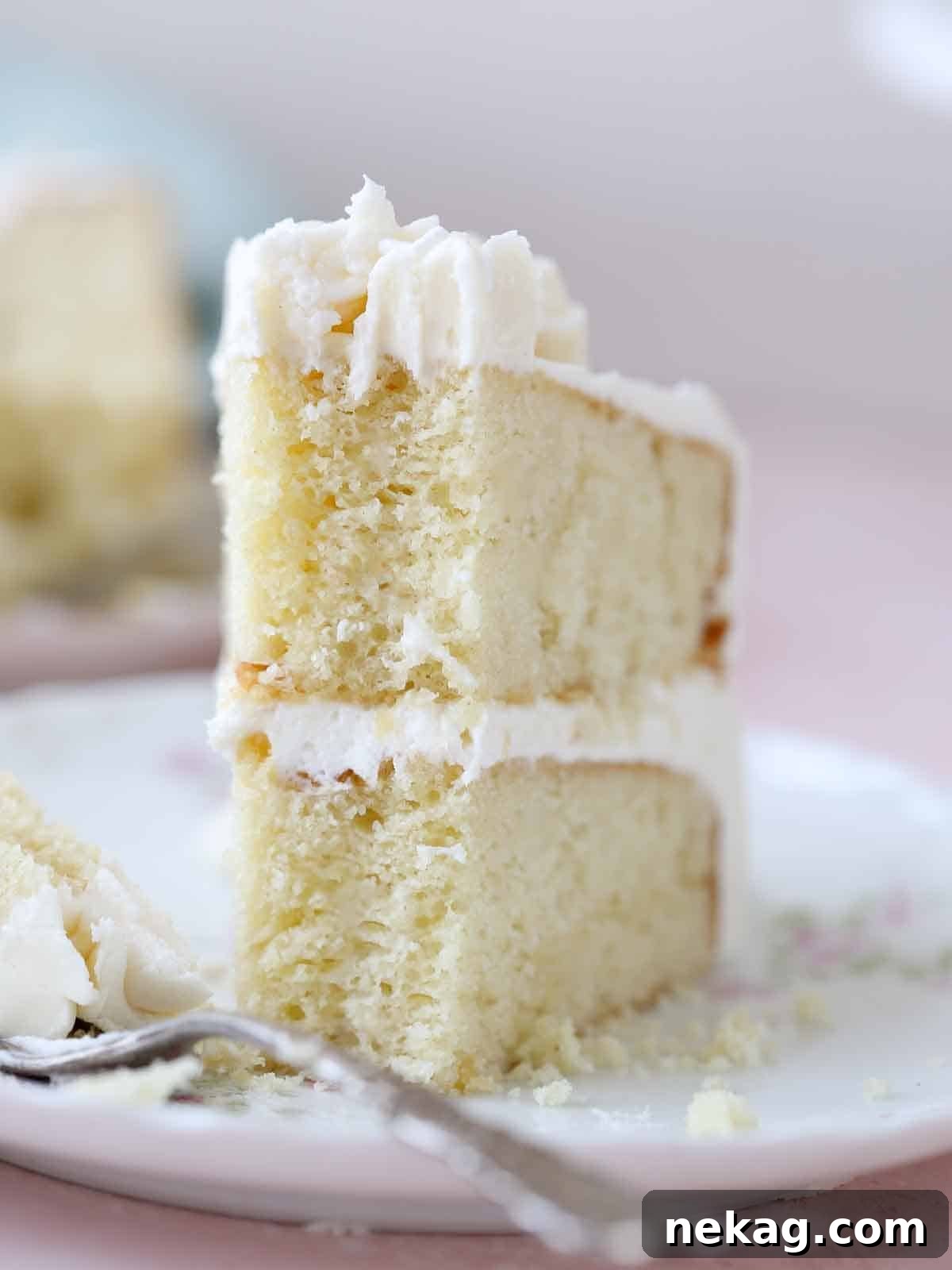 Perfectly Moist Vanilla Cake 2 slice of vanilla cake upright on plate.