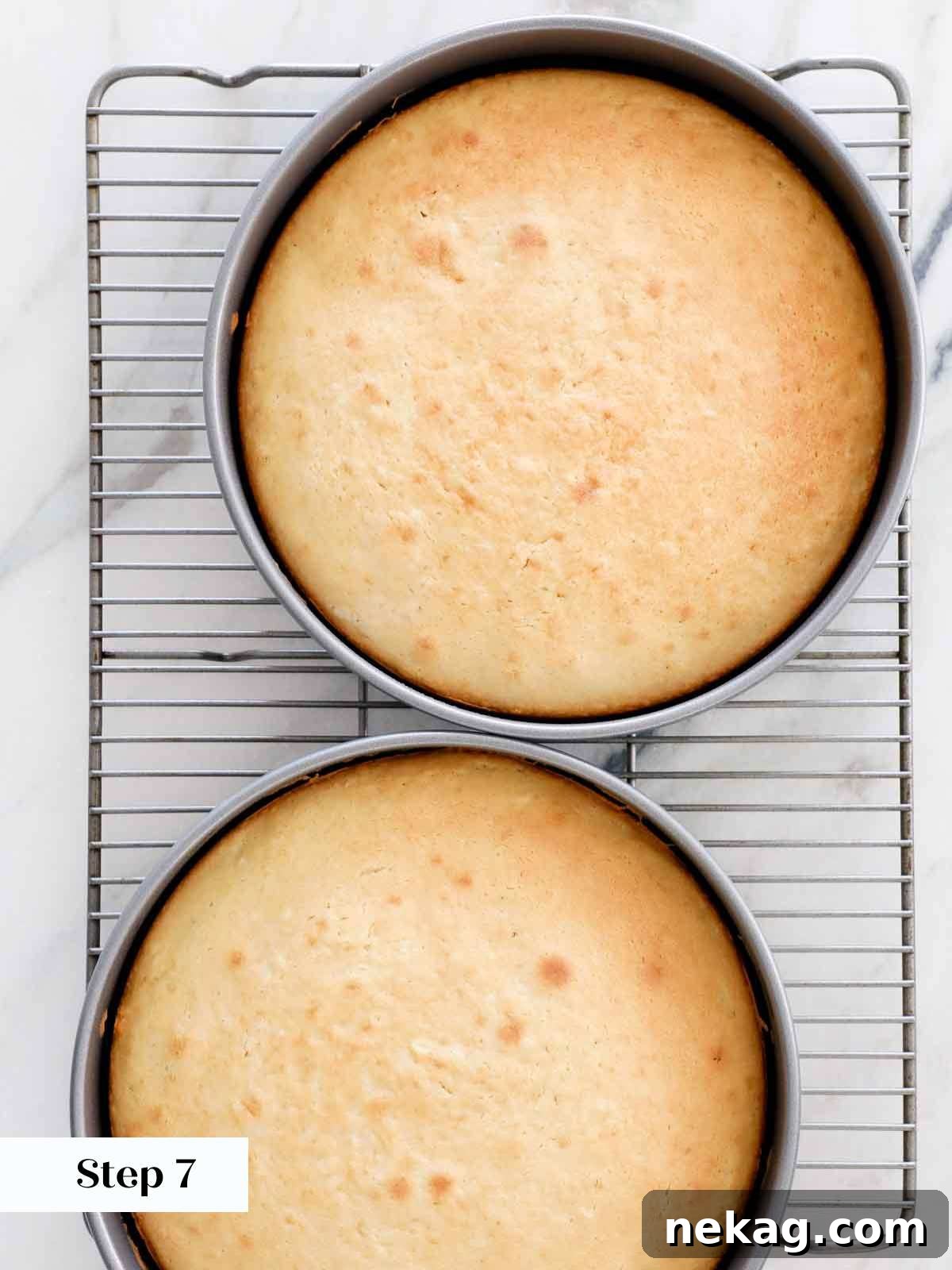 Perfectly Moist Vanilla Cake 16 baked vanilla cake layers.