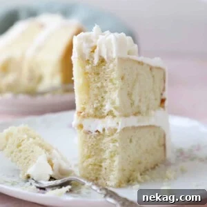 slice of vanilla cake upright on plate interior texture detail.