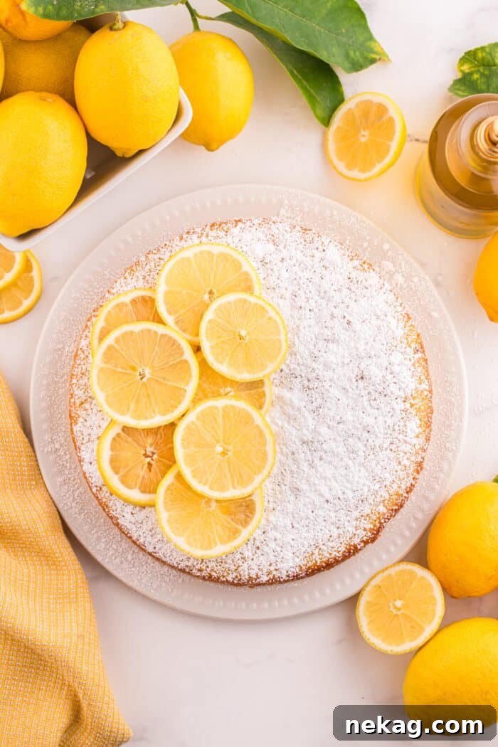 How to Bake Lemon Olive Oil Cake 2 Top view of lemon olive oil cake with powdered sugar and lemon slices on top.