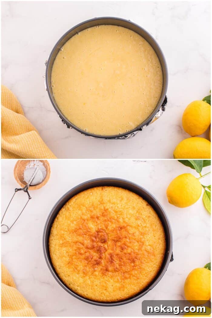 How to Bake Lemon Olive Oil Cake 7 Before and after baking lemon olive oil cake.