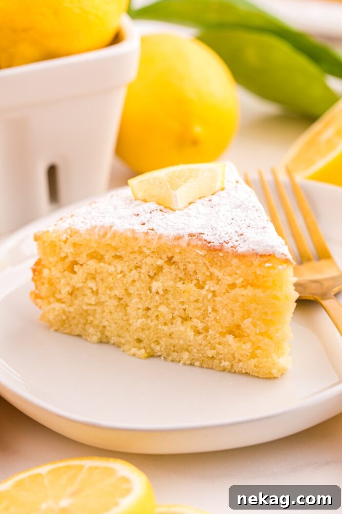 How to Bake Lemon Olive Oil Cake 9 Close up of a slice of olive oil lemon cake on a plate.