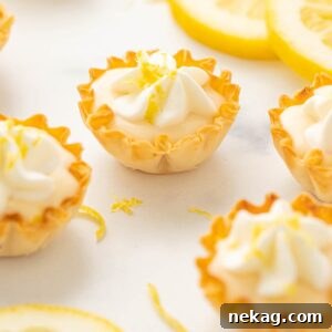 Bite-sized mini lemon tarts, garnished with fresh lemon slices, promising a burst of citrus flavor.