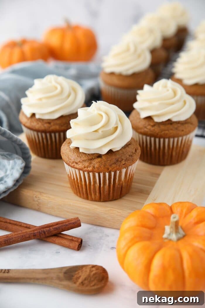 Harvest Pumpkin Spice Cupcakes 10 A tray of freshly baked pumpkin cupcakes elegantly topped with piped cream cheese frosting, inviting you to take a bite.