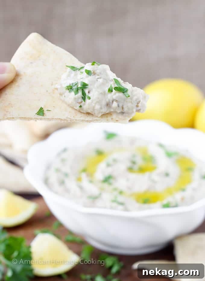 Velvety Smoked Eggplant Dip 4 A spoon scooping a portion of Baba Ganoush, highlighting its chunky texture and the rich color of the roasted eggplant.