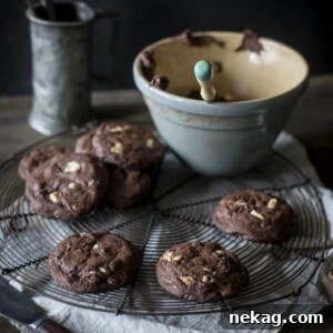 An easy Double Chocolate Chip Cookie recipe that is ready in 20 minutes!!!