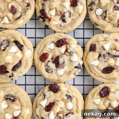 Close up of cranberry white chocolate cookies on a wire cooling rack.