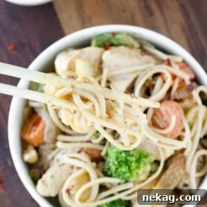 Thai Peanut Chicken Noodle Stir Fry White Bowl