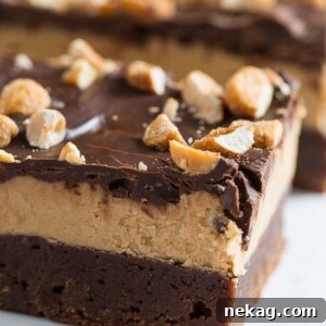 Chocolate Peanut Butter Bars Sideview