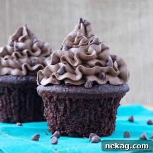 chocolate cupcake with chocolate frosting.