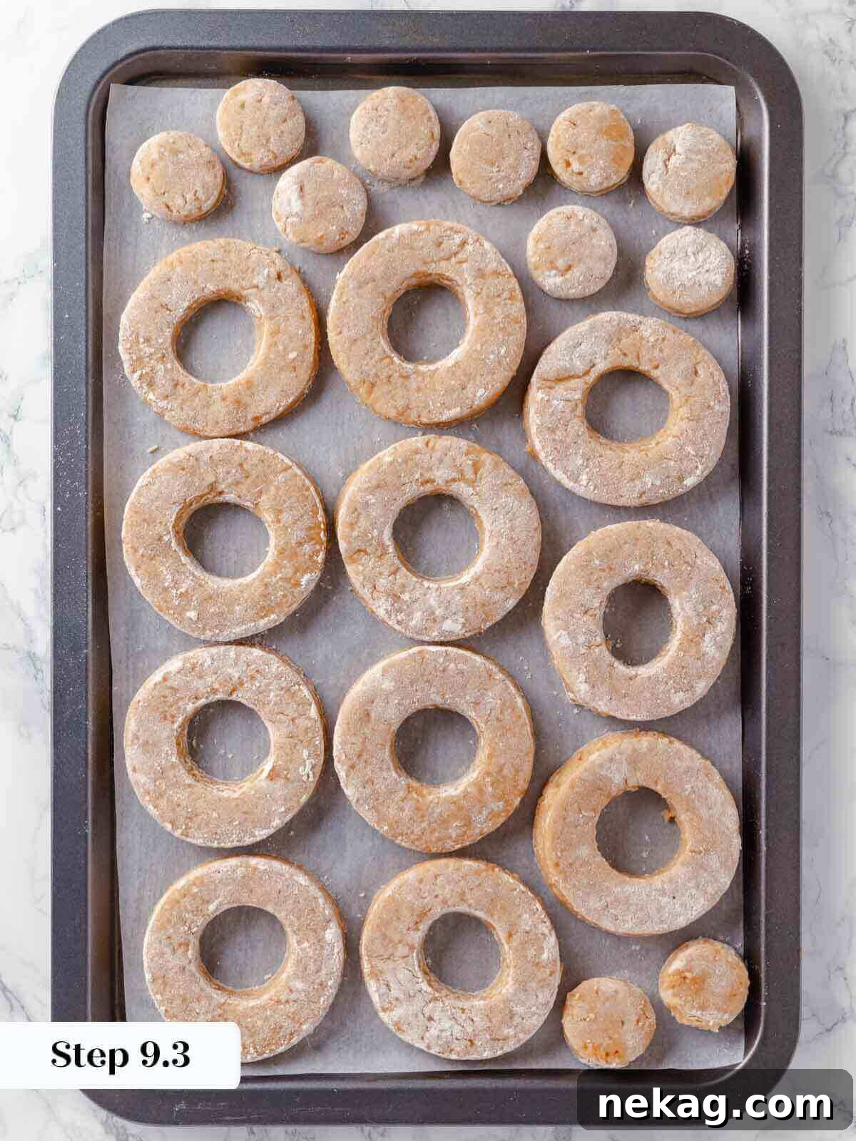 Harvest Apple Cider Donuts 17 Unfried cut donut circles for apple cider donuts.