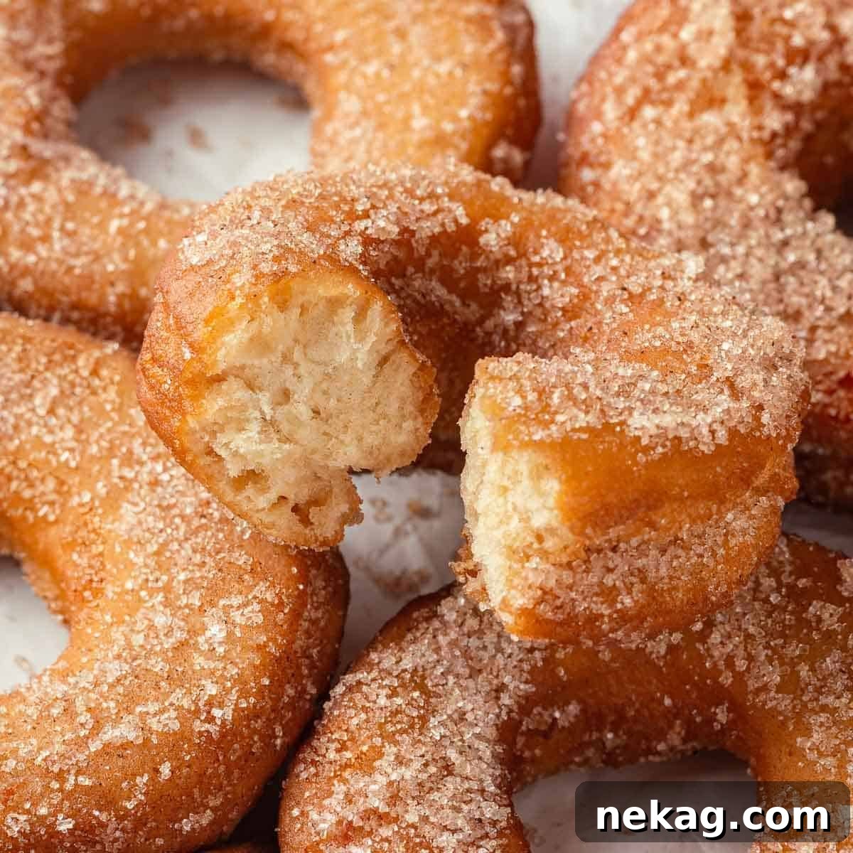 Harvest Apple Cider Donuts 21 A set of apple cider donuts with the top one bitten, revealing the soft, airy interior.