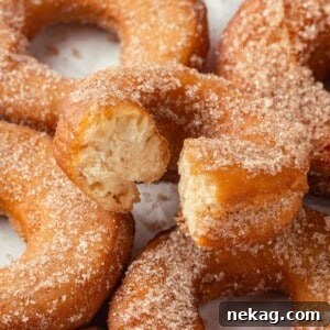 A set of apple cider donuts with the top one bitten, revealing the soft, airy interior.