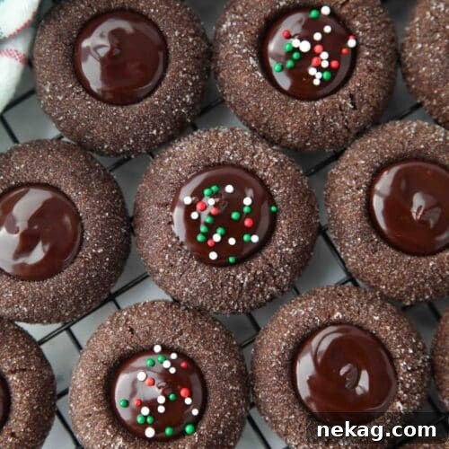 Close up of thumbprint chocolate cookies with ganache centers topped with holiday nonpareils.