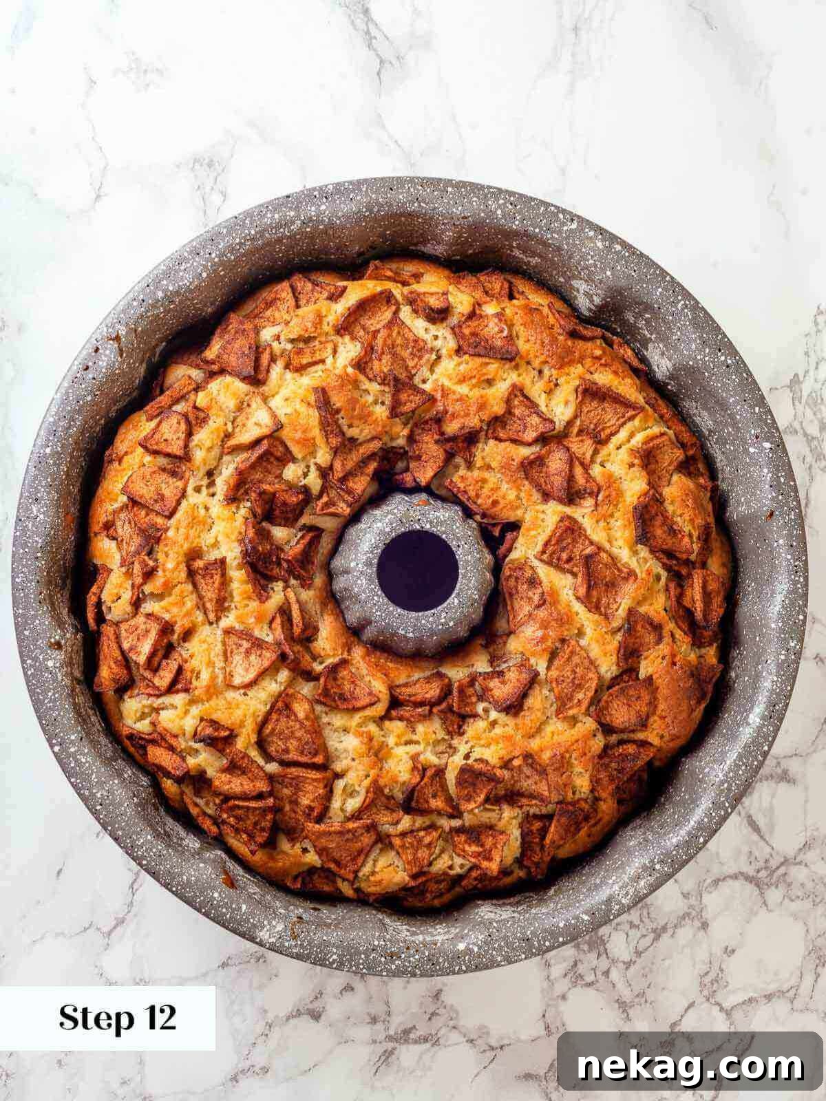 Spiced Apple Harvest Cake 11 A perfectly baked Jewish apple cake, golden brown and glistening, fresh out of the oven in its tube pan.