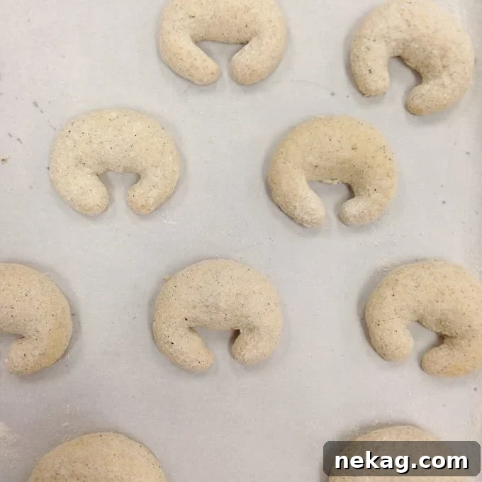 Big City Bites: A Culinary School Evolution 7 Perfectly baked vanilla crescent cookies, a result of the first practical exam