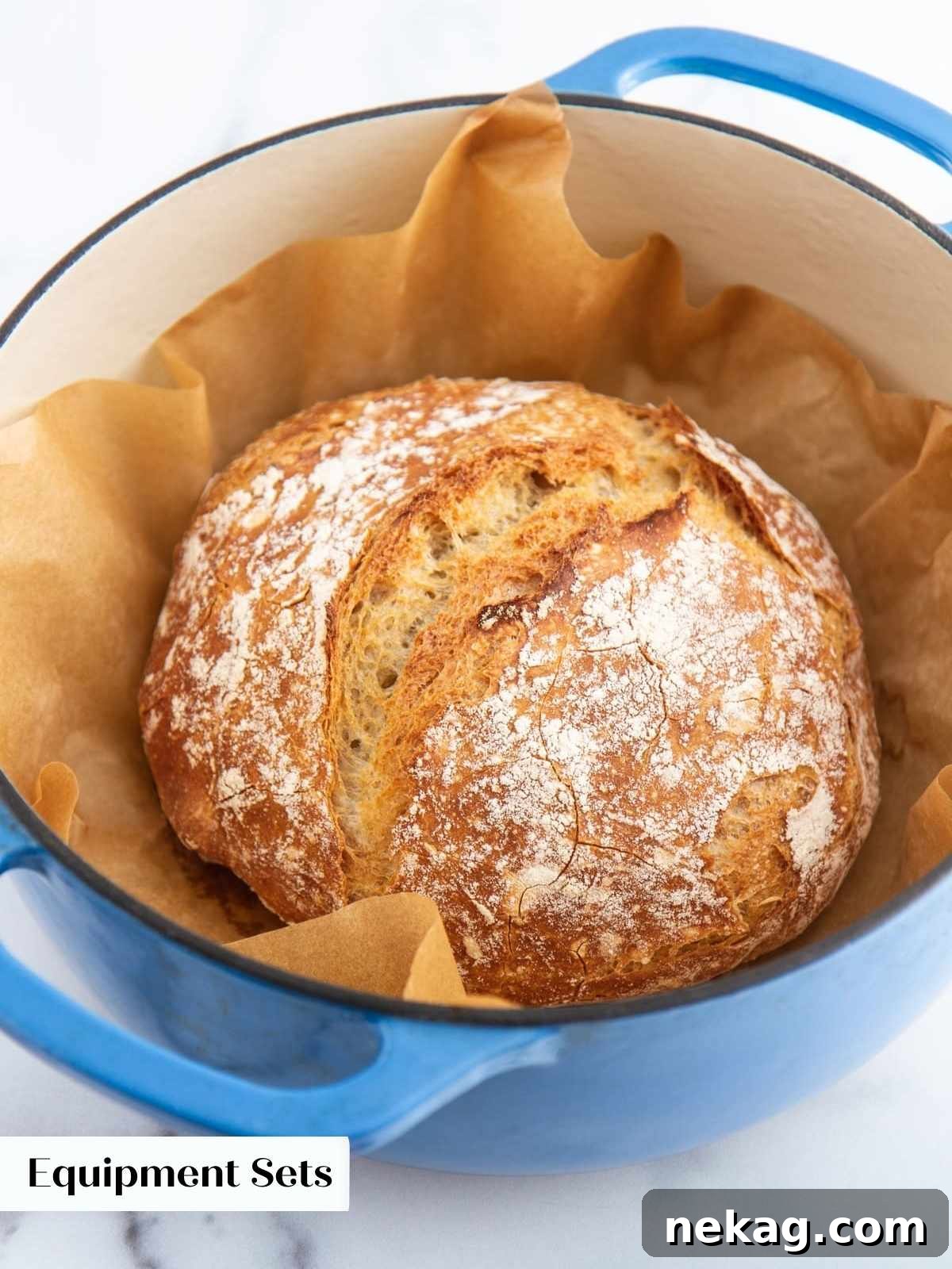 A freshly baked, crusty loaf of bread gracefully served in a vibrant blue Dutch oven, highlighting its rustic appeal and baking potential.