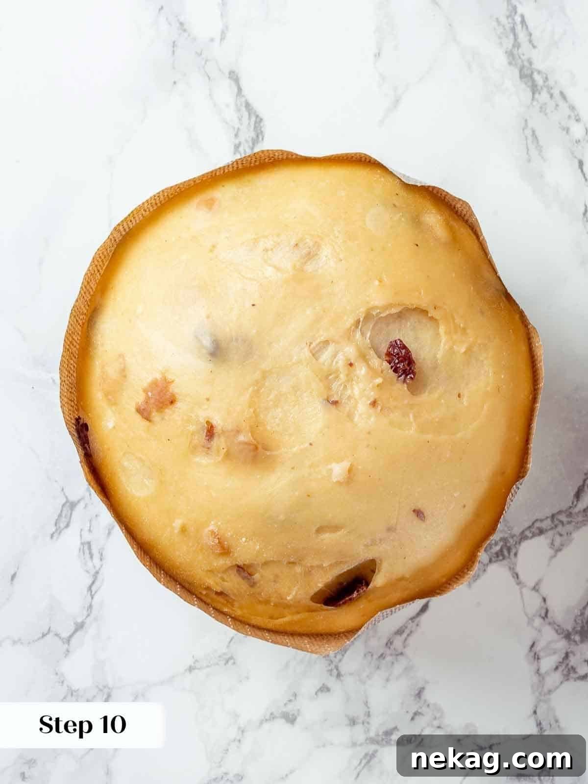 Panettone dough perfectly proofed and ready for baking, placed in its paper mold.