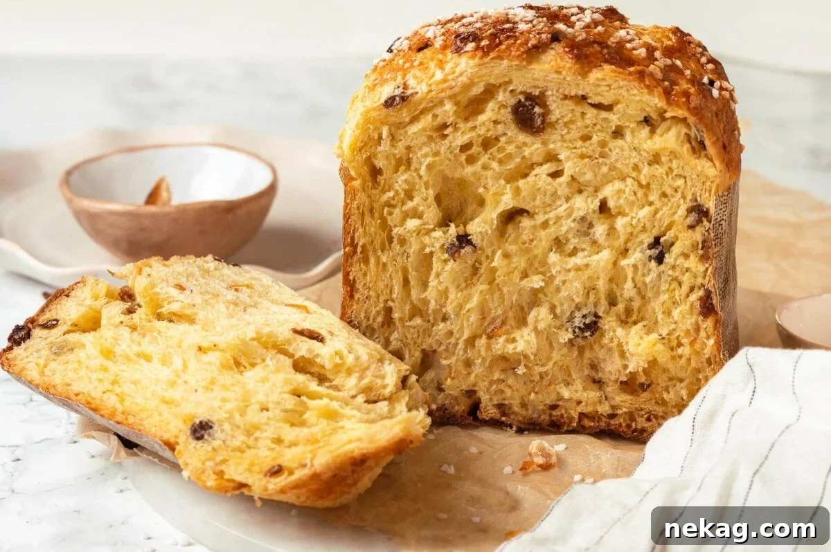 A slice of panettone next to a whole loaf, revealing its airy crumb and fruit distribution.