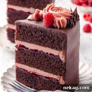 A three-layer chocolate raspberry cake slice, showing its beautiful interior.