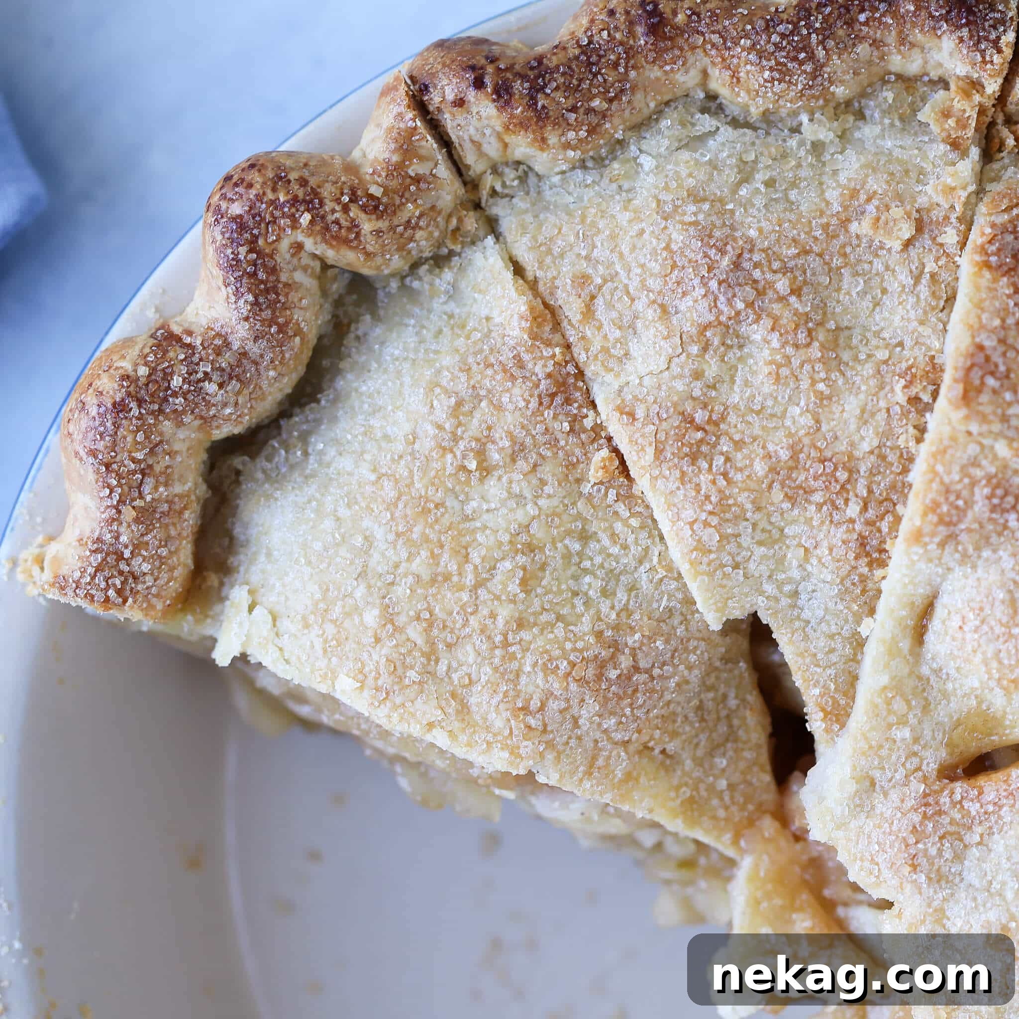 A beautifully baked Double Crusted Fruit Tart, partially sliced in a deep pie dish, revealing its juicy filling.