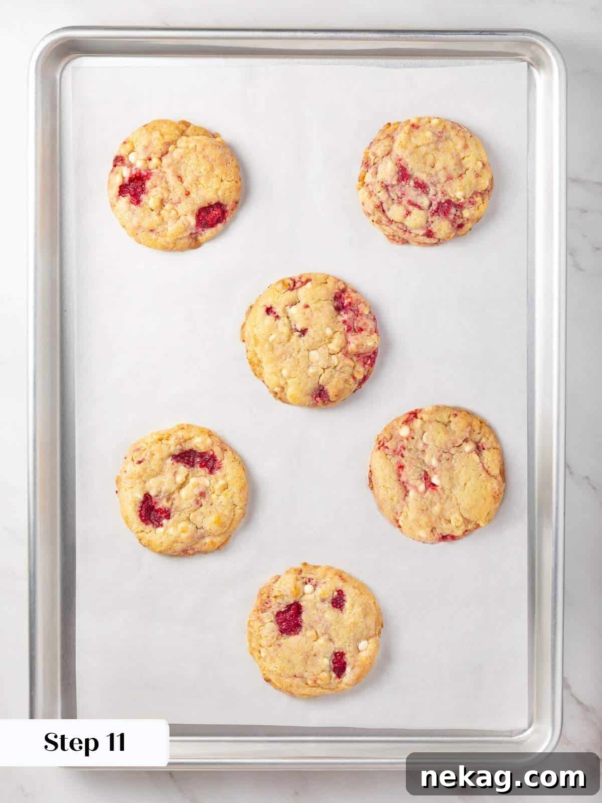 A baking tray filled with freshly baked white chocolate raspberry cookies cooling after coming out of the oven.