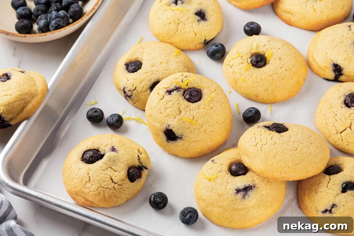 Thick cookies with blueberries baked into the surface, with a halved lemon in the foreground.