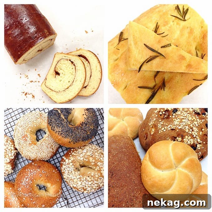 Culinary School Update Part 3: Bread Collage showcasing various baked breads
