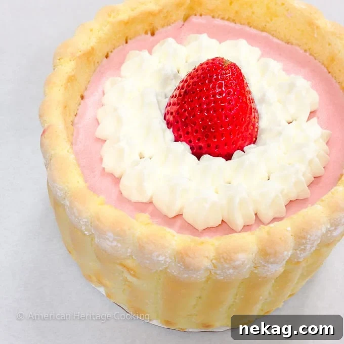 Culinary School Update Part 3: Charlotte Russe with ladyfingers and fruit mousse