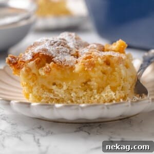 Center of gooey butter cake shown with buttery filling layered over the yeasted cake base, highlighting its texture.